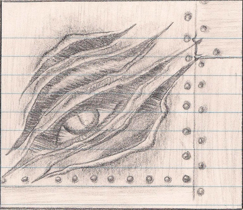 773x670 Claw Marks - Claw Marks Drawing