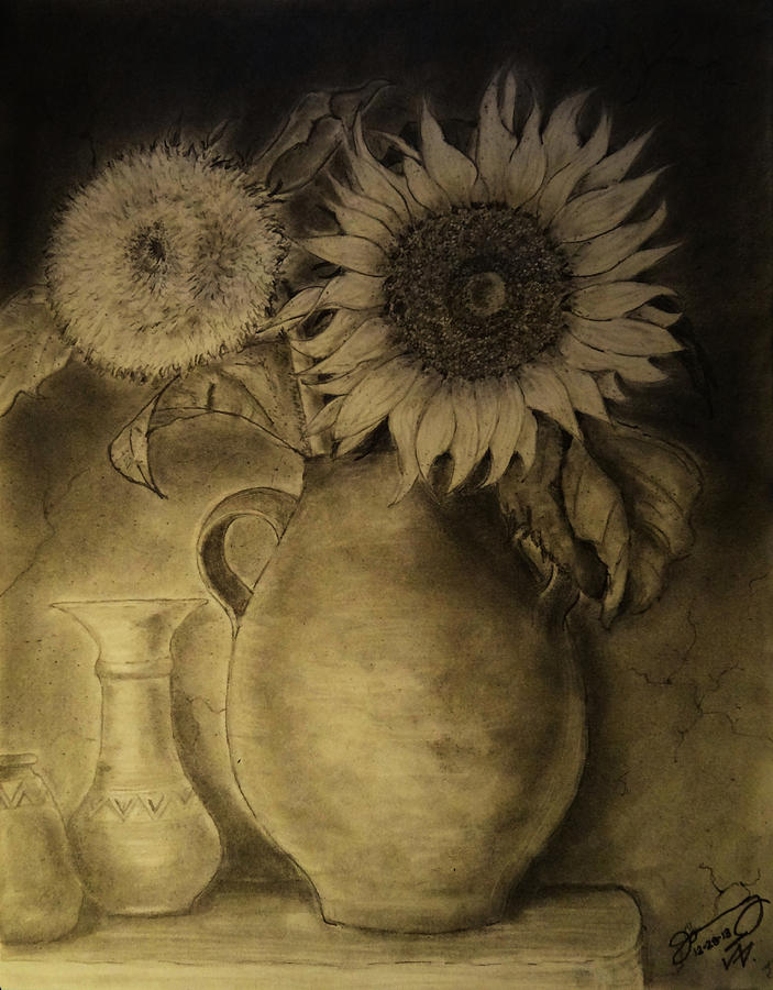 703x900 Still Life Clay Pot With Two Sunflowers Drawing - Clay Pot Drawing