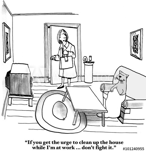 479x500 cat cartoon if the cat gets the urge to clean the house, don't - Clean House Drawing