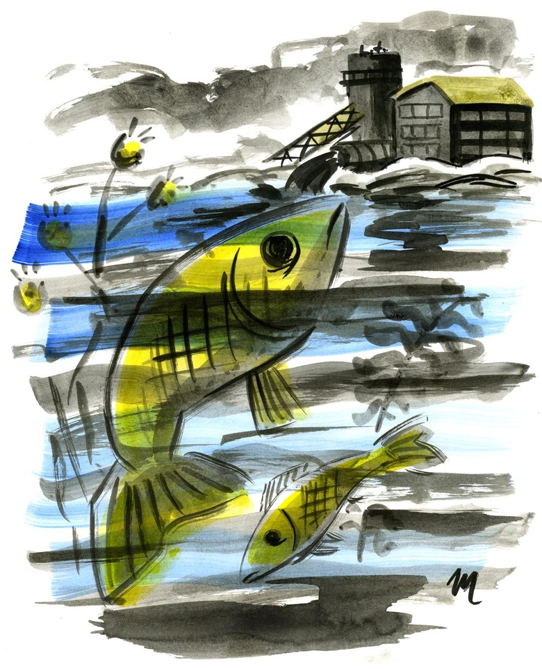 780x962 clean water through agricultural accountability the seattle times - Clean Water Drawing