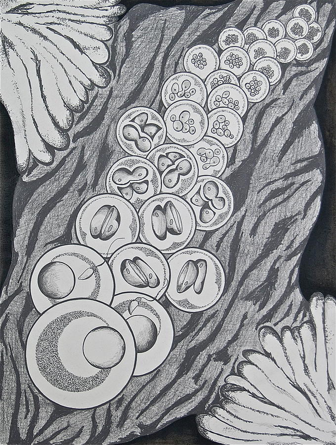 680x900 Cleavage Drawing - Cleavage Drawing