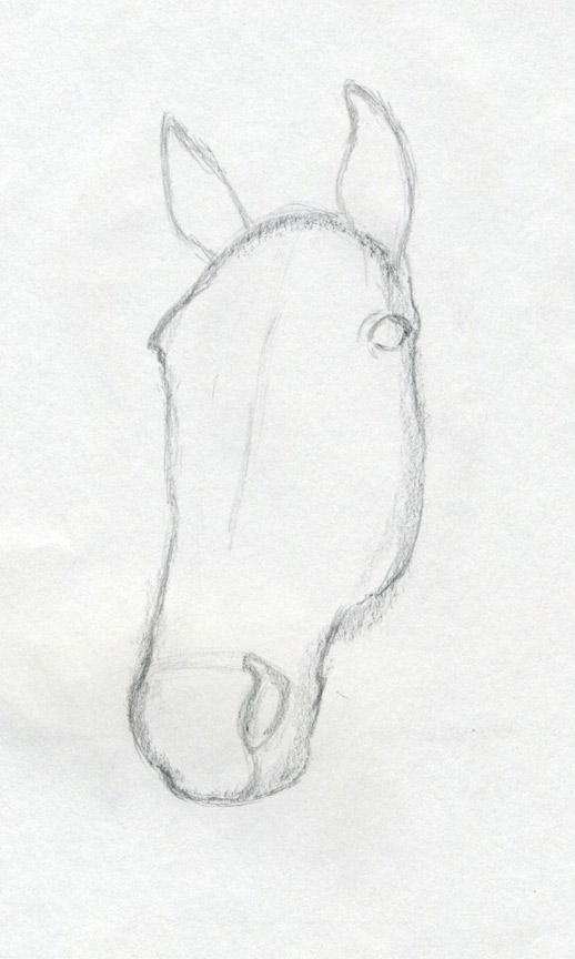 518x864 How To Draw Horse Head - Click Drawing