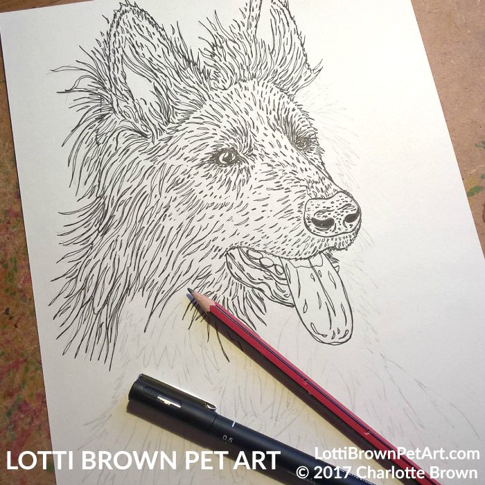 700x700 colourful animal portraits - Click Drawing