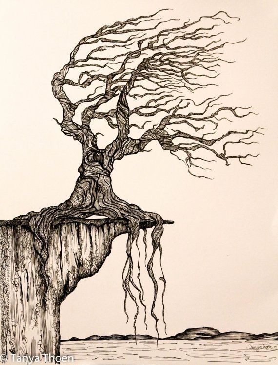 570x747 Ink Drawing, Aged To Perfection, Wind Blown Tree Poised - Cliff Drawing