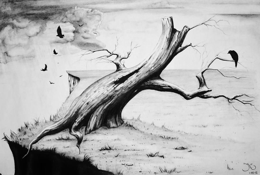 Cliff Edge Drawing At Paintingvalley Com Explore Collection Of