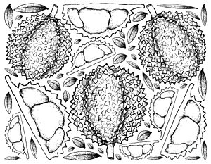 300x233 tropical climate drawings fine art america - Climate Drawing