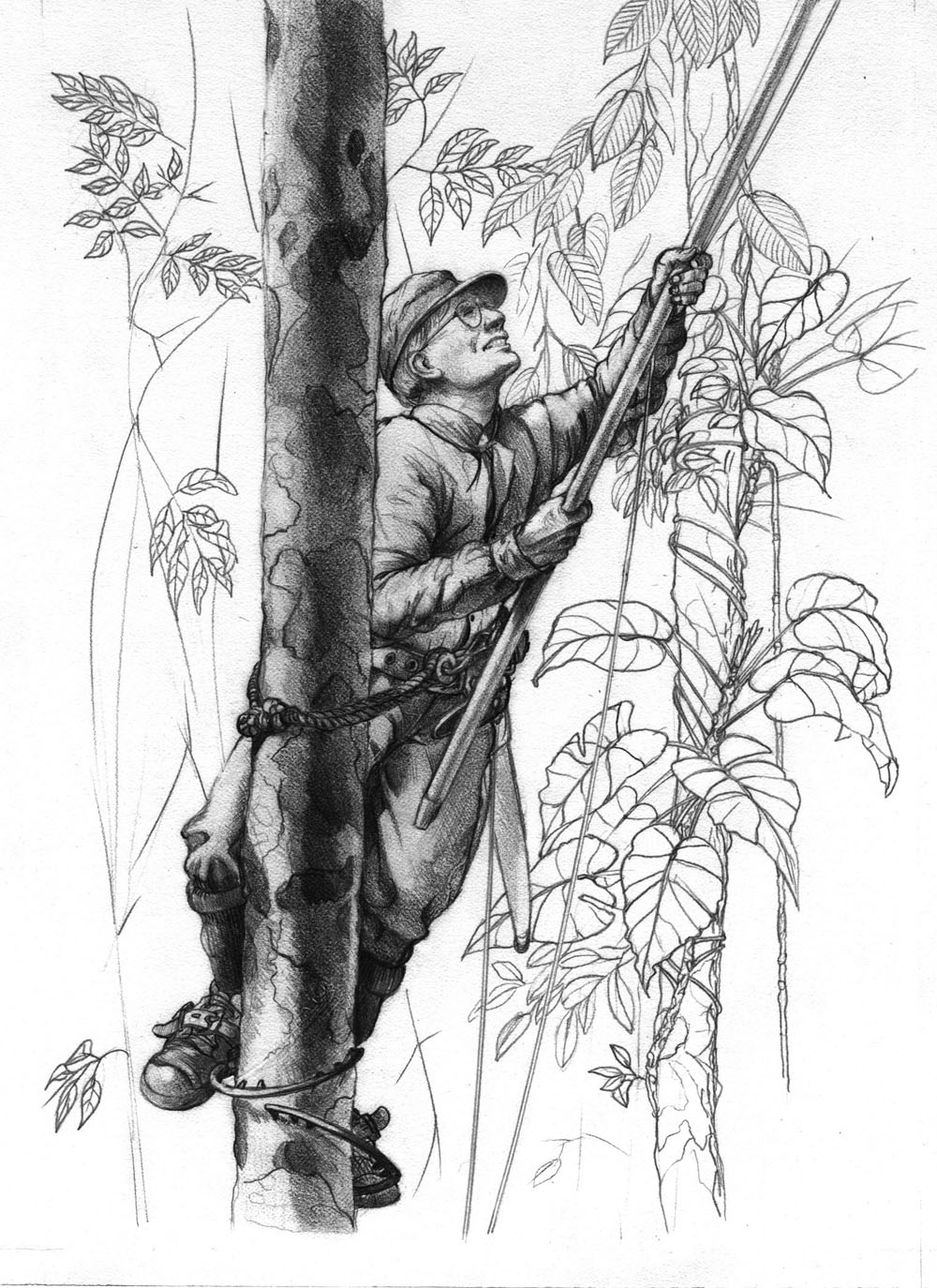 1000x1374 definition tree climbing - Climbing Drawing