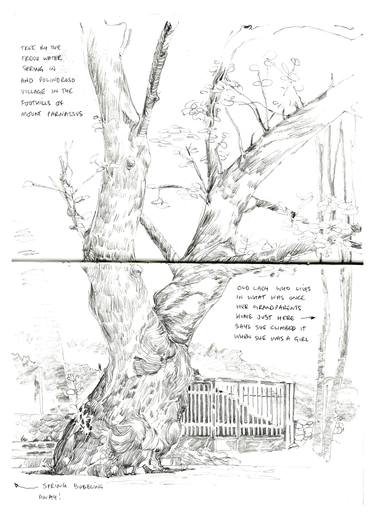 375x518 the climbing tree drawing - Climbing Drawing