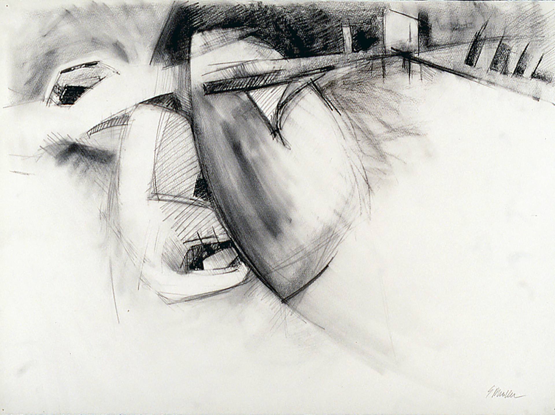 1920x1437 Divided Hedge Clipper Drawing - Clipper Drawing