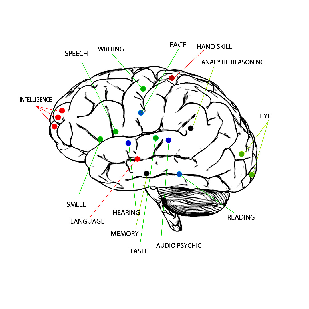 1080x1080 The Clock Drawing Test And Dementia Doctor Dementia - Clock Drawing Images