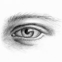 250x250 Pencil Portraits - Closed Lips Drawing