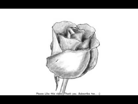 480x360 How To Draw A Beautiful Rose Bud With Shading - Closed Rose Drawing