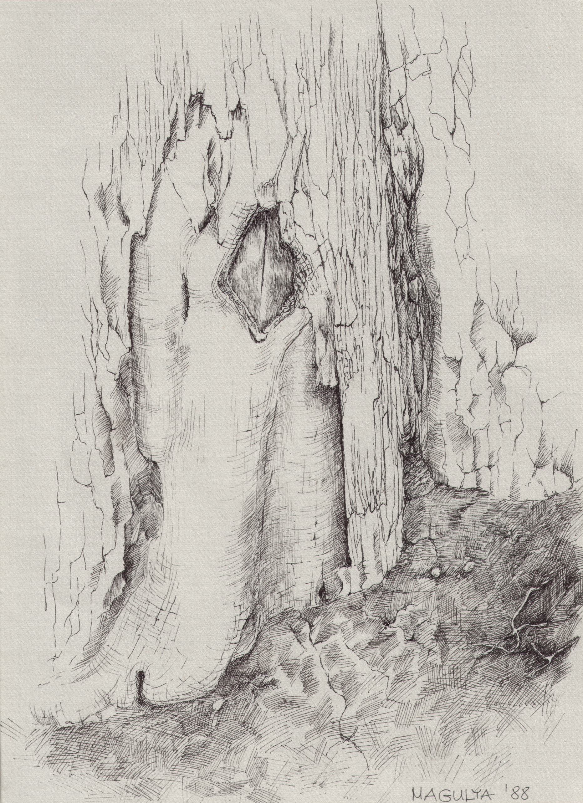 1863x2566 My Souldoodles From The Closet - Closet Drawings