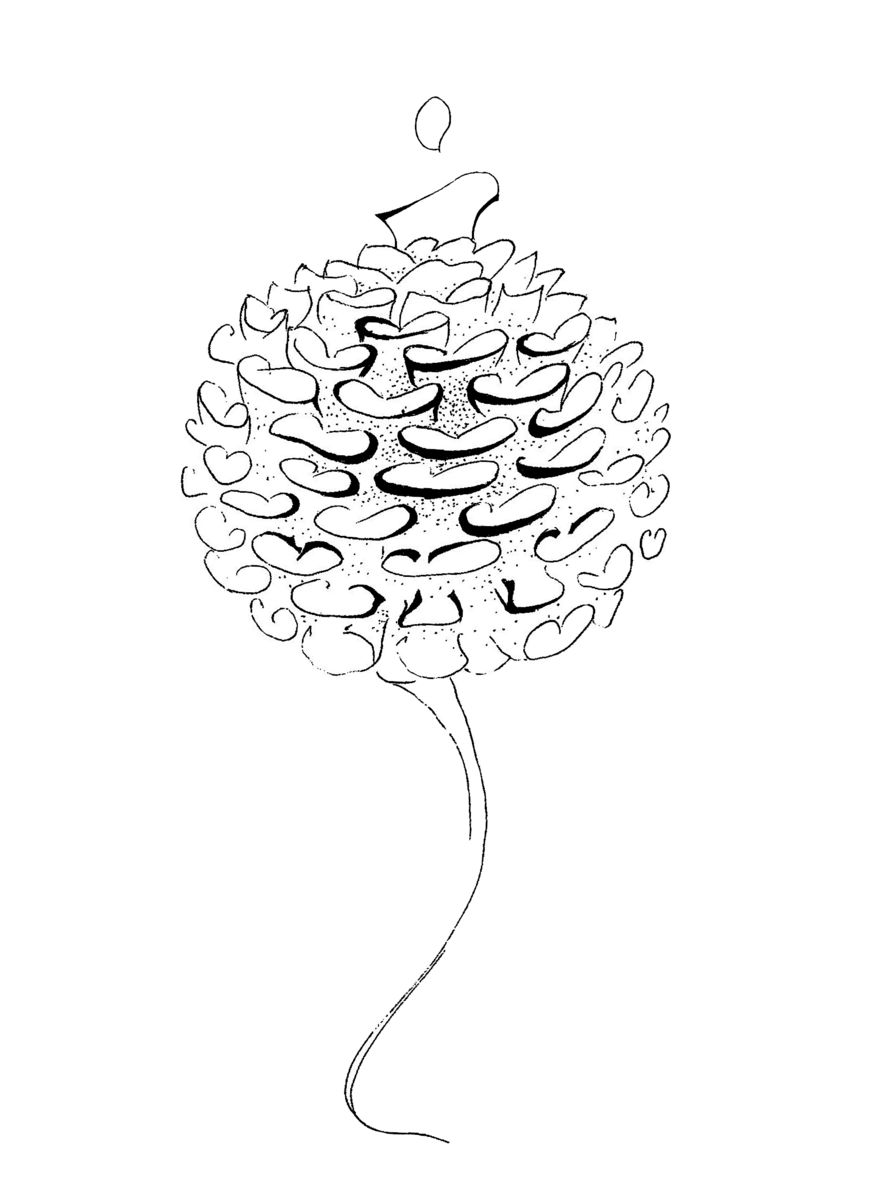 873x1200 Fashion Illustration Drawing - Clothes Model Drawing