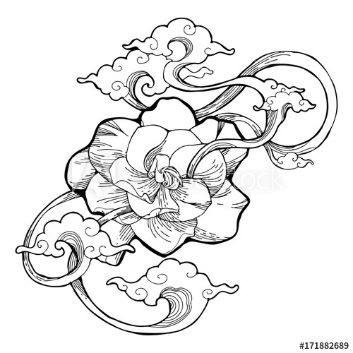 500x500 cape jasmine, gardenia jasmine and aroma cloud design - Cloud Drawing Tattoo