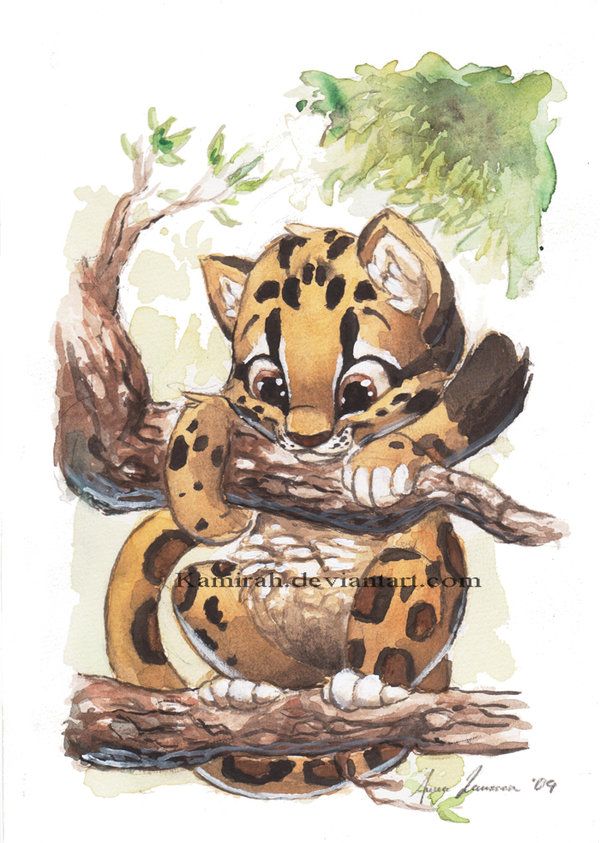 600x843 Clouded Leopard - Clouded Leopard Drawing