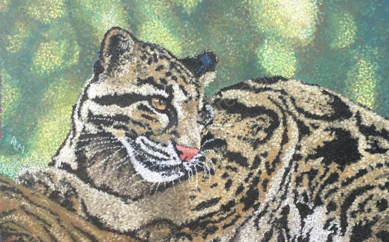 794x495 Pastel Drawing Clouded Leopard Big Cat Pointillism Style Etsy - Clouded Leopard Drawing