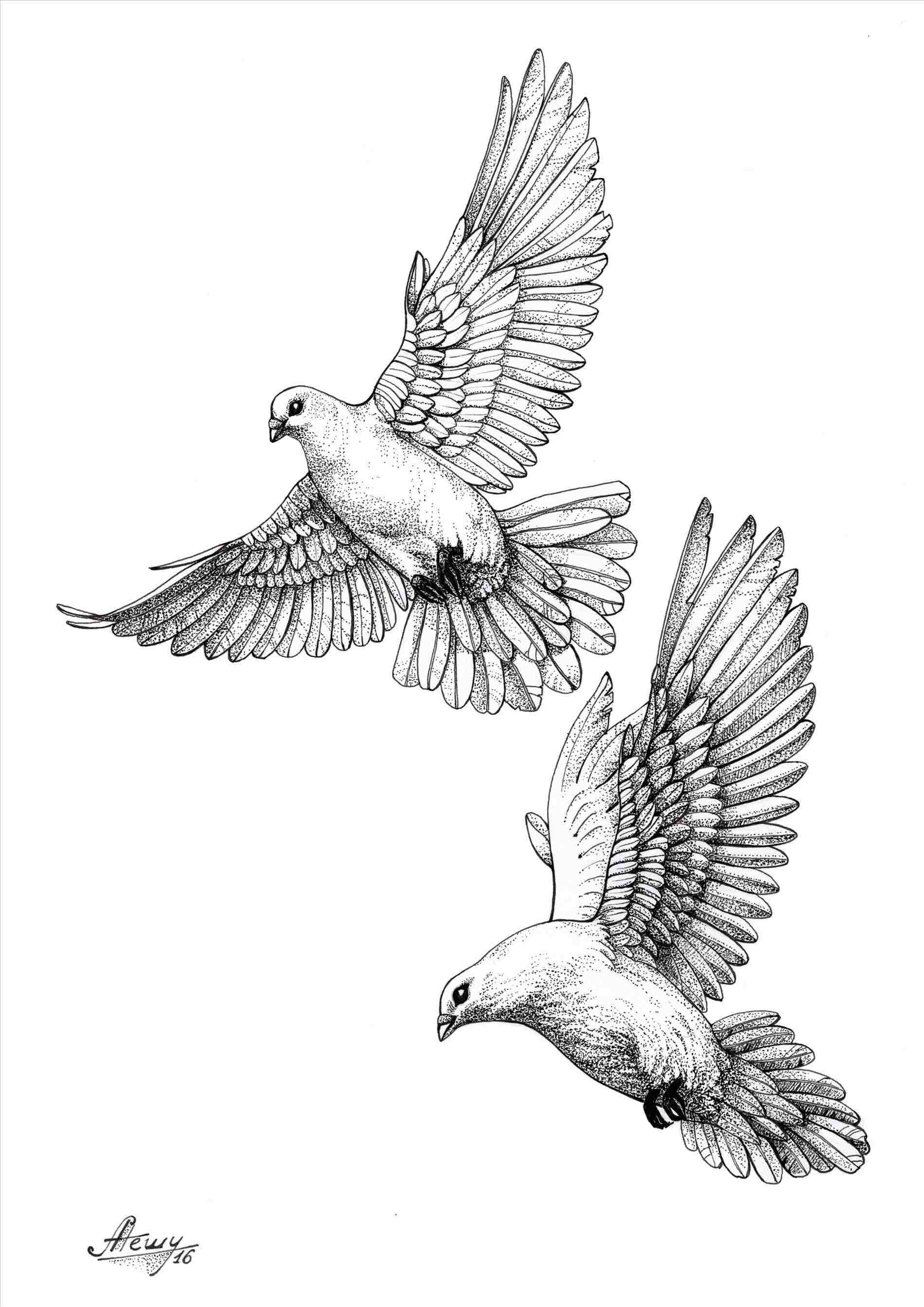 Dove And Cloud Tattoo Designs - Tattoo Uploaded By Jack Carroll Tattoos Blackandgreytattoo Blackandgrey Realistic Realism Realistictattoo Blackandgraytattoos Tattoo Religioustattoo Sleevetattoo Rose Blackandgray Cloudtattoo Dovetattoo Doves 937198 Tattoodo - A great design that is spiritual in nature with the doves off to the side.