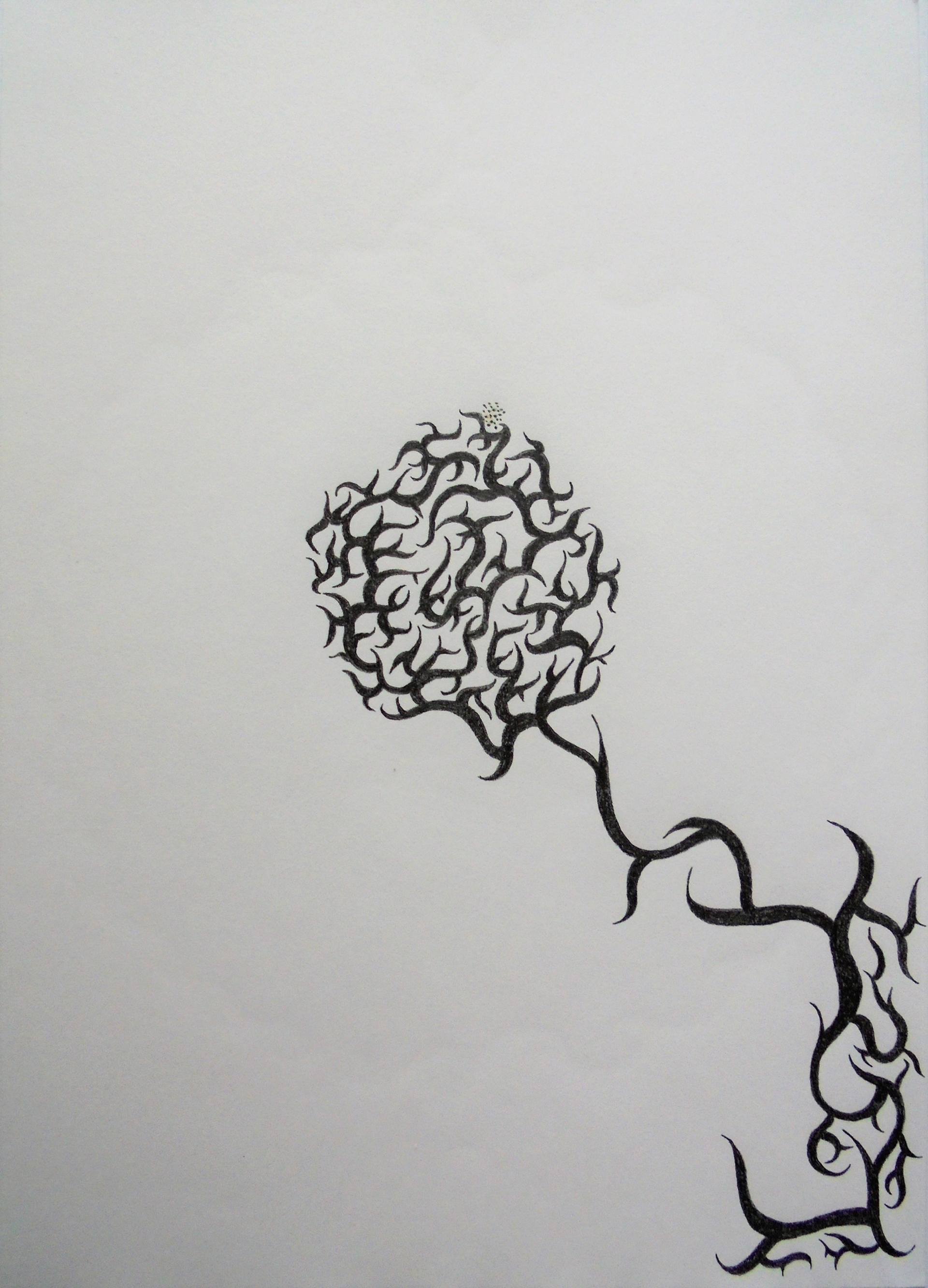 1920x2664 clover drawing - Clover Drawing