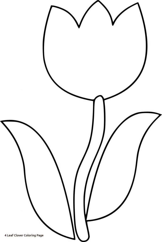 688x1024 Clover Leaf Drawing - Clover Leaf Drawing