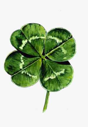 300x433 clover leaf png, free hd clover leaf transparent image - Clover Leaf Drawing