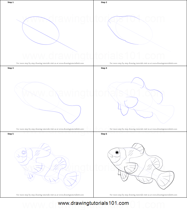 751x846 how to draw a clownfish printable step - Clownfish Drawing