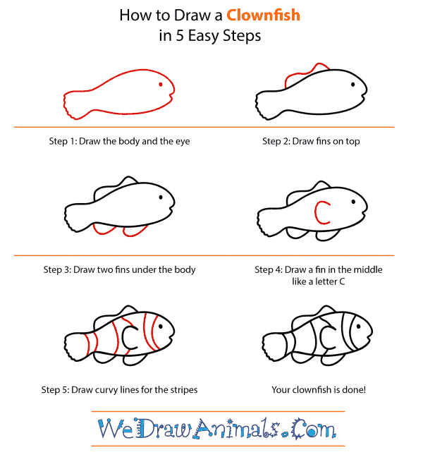 600x648 how to draw a clownfish - Clownfish Drawing