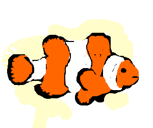 300x250 clownfish drawing - Clownfish Drawing