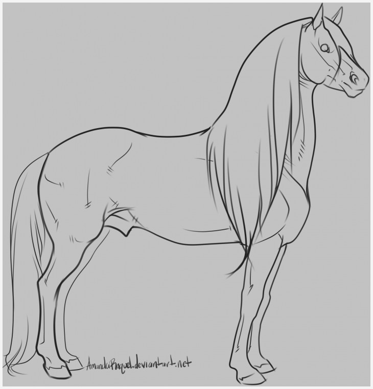 730x762 clydesdale horse drawing inspirational warmblood stallion lineart - Clydesdale Drawing