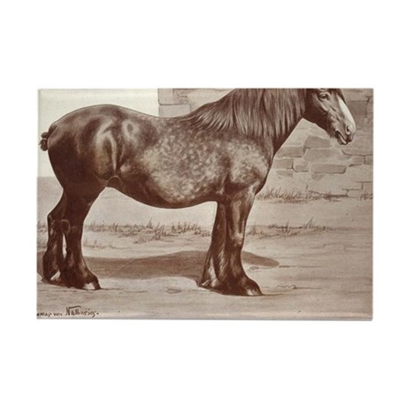 460x460 clydesdale magnets - Clydesdale Drawing