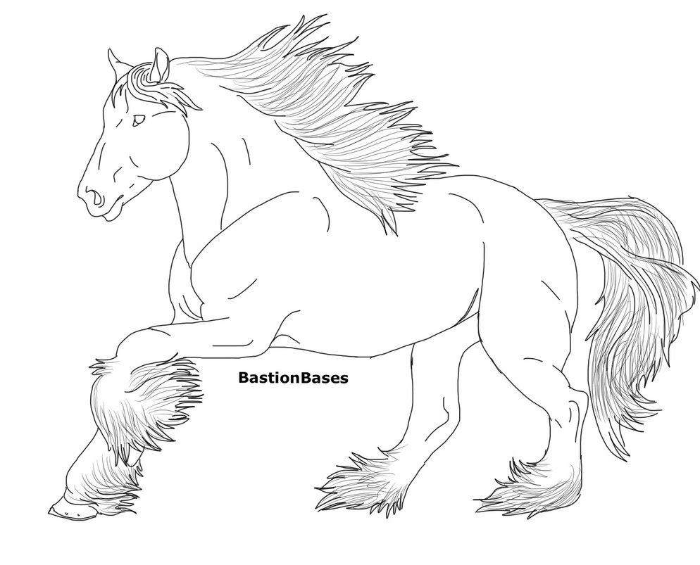 Download Best 50+ How To Draw A Clydesdale Horse Step By Step - hd ...