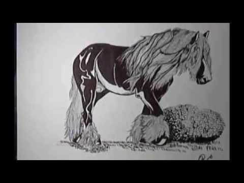 480x360 how to draw a clydesdale horse - Clydesdale Drawing