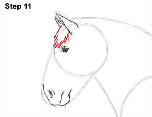 500x386 how to draw a horse - Clydesdale Drawing