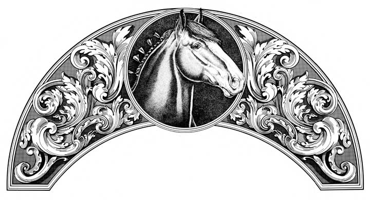 720x390 ink drawing of a clydesdale journal of seeing - Clydesdale Drawing