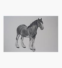 210x230 clydesdale drawing gifts merchandise redbubble - Clydesdale Drawing