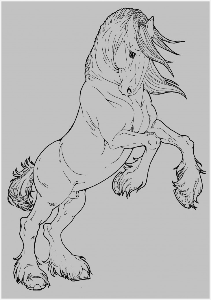 730x1037 my works xd - Clydesdale Horse Drawing