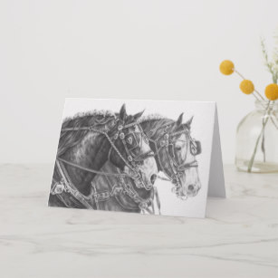 307x307 clydesdale horse gifts on zazzle au - Clydesdale Horse Drawing