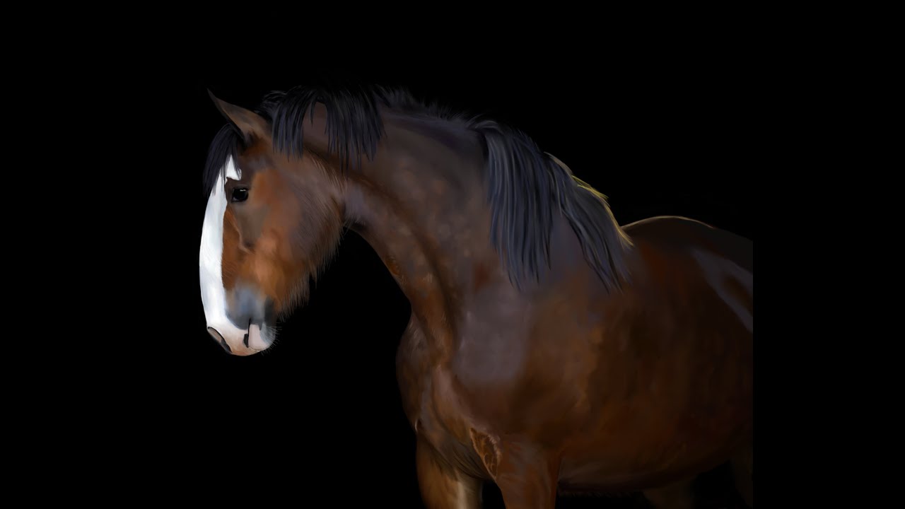 1280x720 how to draw a realistic horse portrait - Clydesdale Horse Drawing