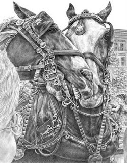 249x320 pencil drawings - Clydesdale Horse Drawing