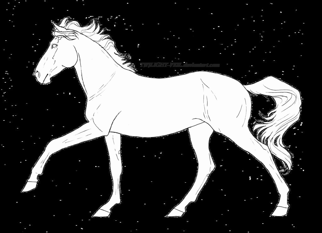 1024x741 small horse drawing luxury horse to draw best clydesdale horse - Clydesdale Horse Drawing