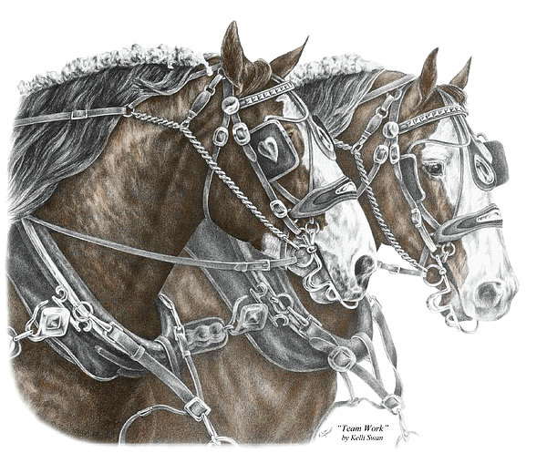 600x497 team work - Clydesdale Horse Drawing