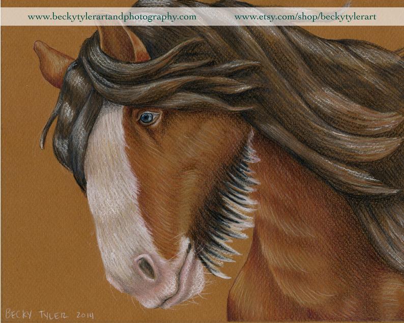 794x635 wild clydesdale horse original drawing etsy - Clydesdale Horse Drawing