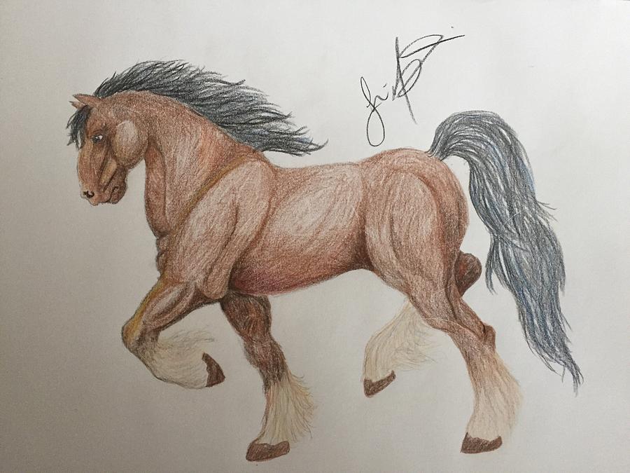 900x675 clydesdale drawing - Clydesdale Horse Drawing