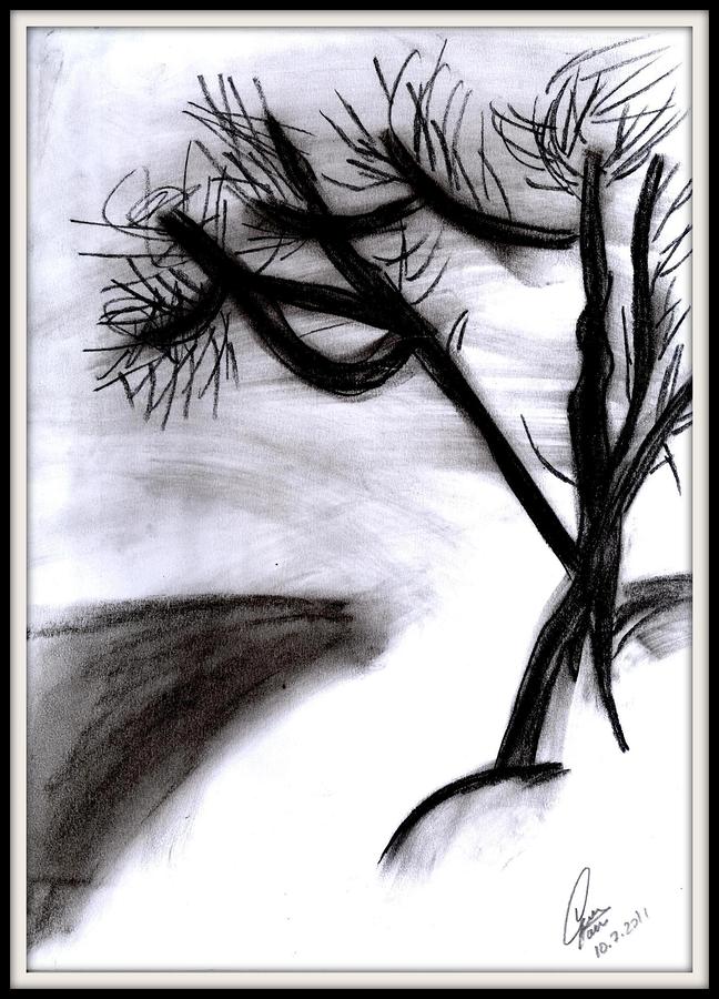 648x900 coal tree drawing - Coal Drawing