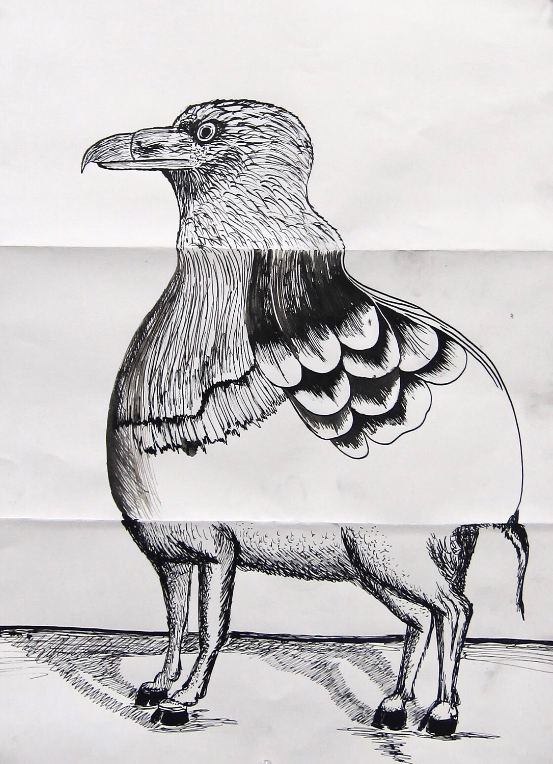 1119x1546 coast art zone collaborative drawing with shannon freshwater - Coast Drawing