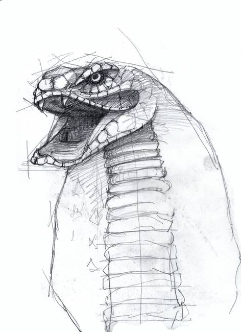 472x650 cobra - Cobra Drawing