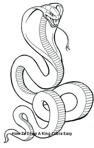 320x500 how to draw a king cobra easy rainforest animal coloring pages - Cobra Drawing