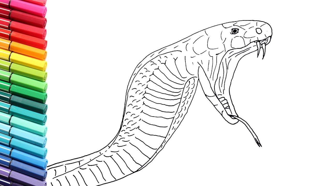 1280x720 how to draw king cobra attack - Cobra Drawing