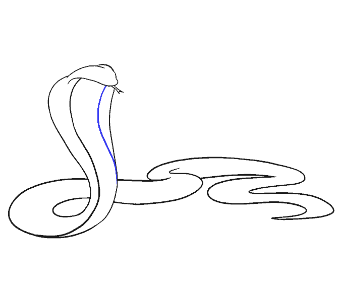 678x600 how to draw a cobra easy step - Cobra Drawing