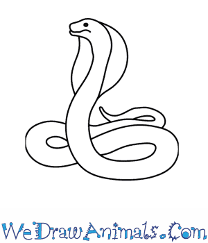 300x350 how to draw a cobra - Cobra Drawing